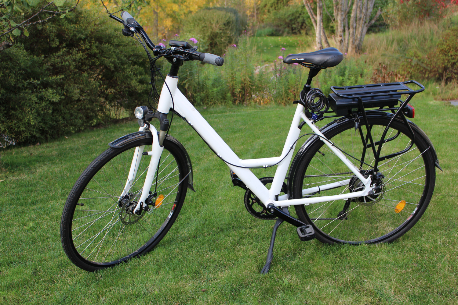 elektrische fiets